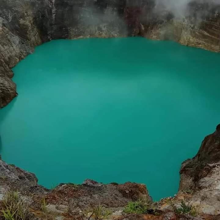 Wisma Kelimutu Ende Buitenkant foto